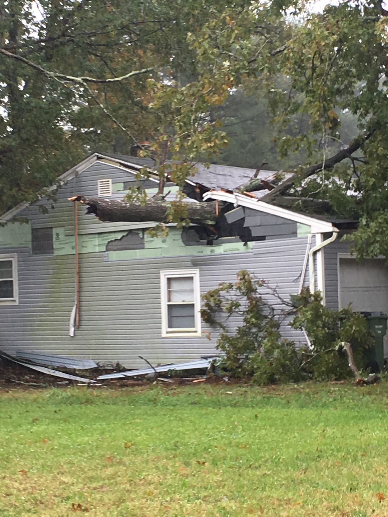 Tree Wind Damage in Egg Harbor Township
